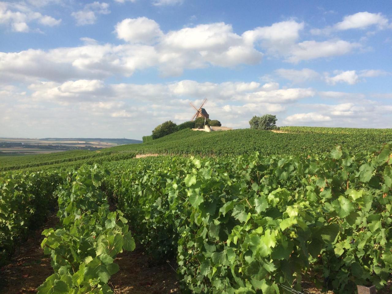 Les Suites Champenoises タンクー エクステリア 写真